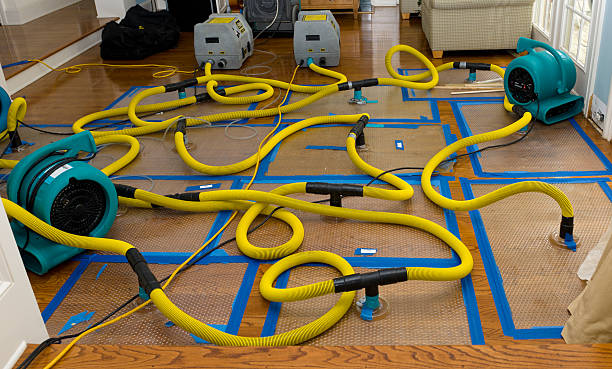 Professional Water Damage Restoration technician working in Marion, PA
